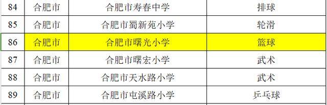 合肥市曙光小学荣获“安徽省体育特色传统学校”荣誉称号(图2)